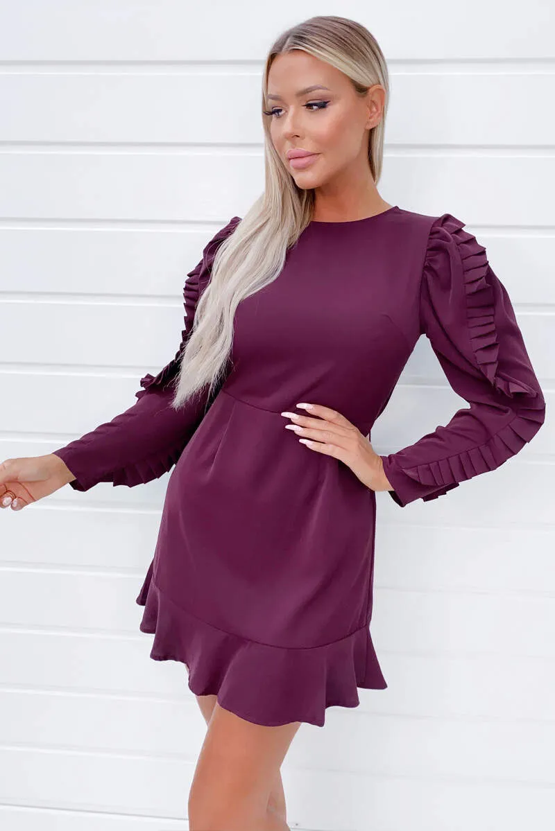 Plum Pleated Long Sleeve Skater Dress