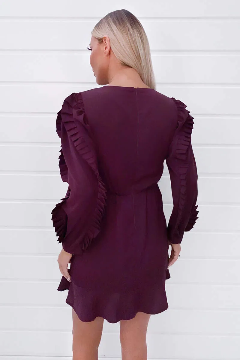 Plum Pleated Long Sleeve Skater Dress